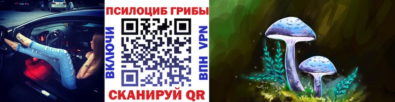 Псилоцибиновые грибы мицелий  цена   Оса 